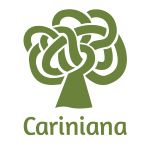 https://cariniana.ibict.br/